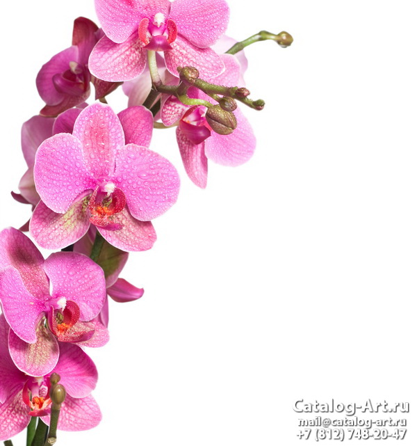 Натяжные потолки с фотопечатью - Розовые орхидеи 74